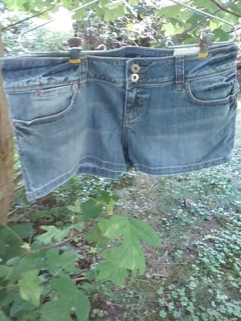 Guess Jeans womens shorts